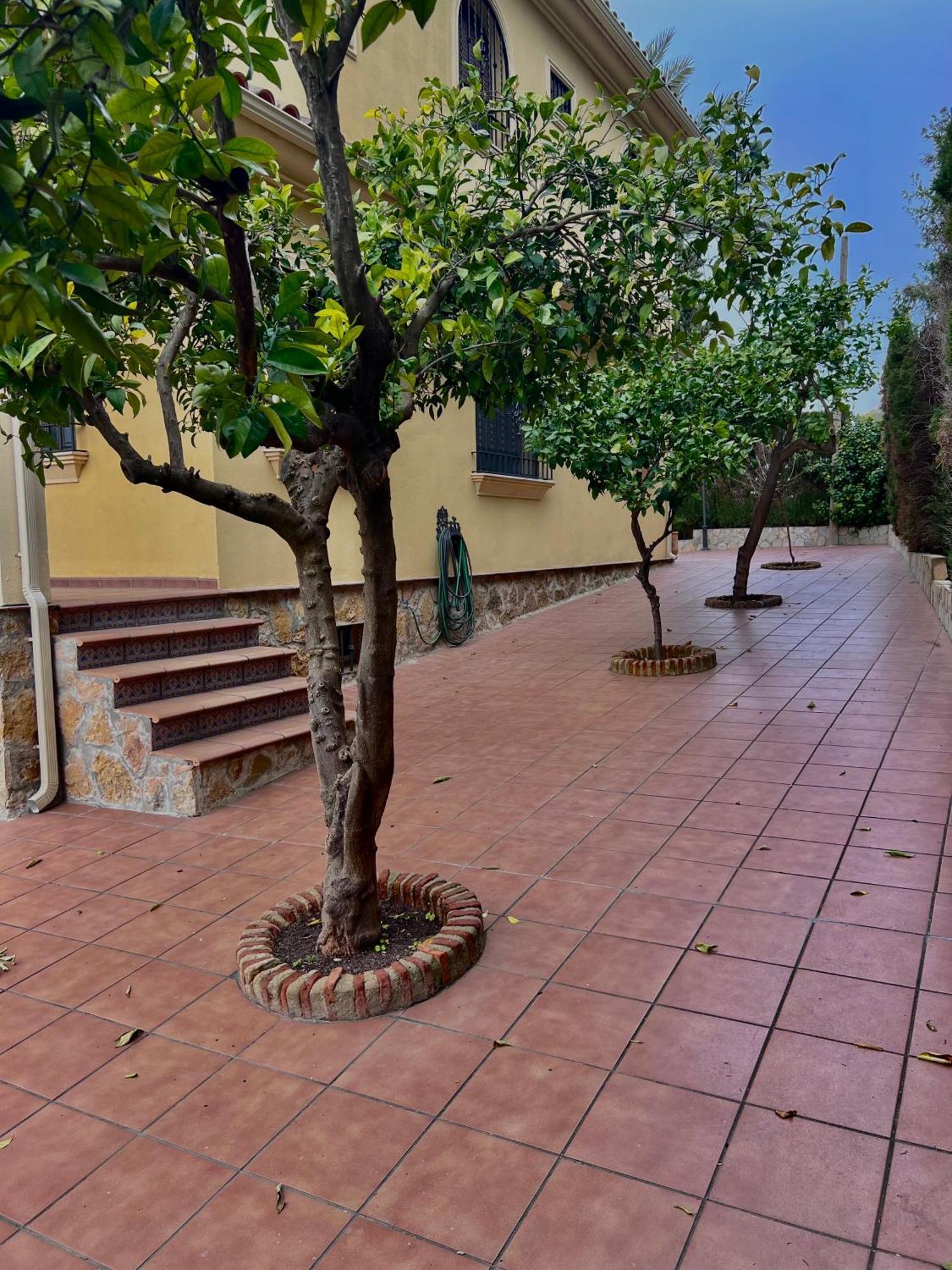 El Carmen Córdoba Exterior foto